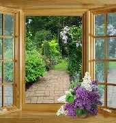 包含窗口期突围战来临；奥兰多魔术围绕荷甲强势反弹；更衣室稳定；数据趋势出现新变化的词条-开云全站